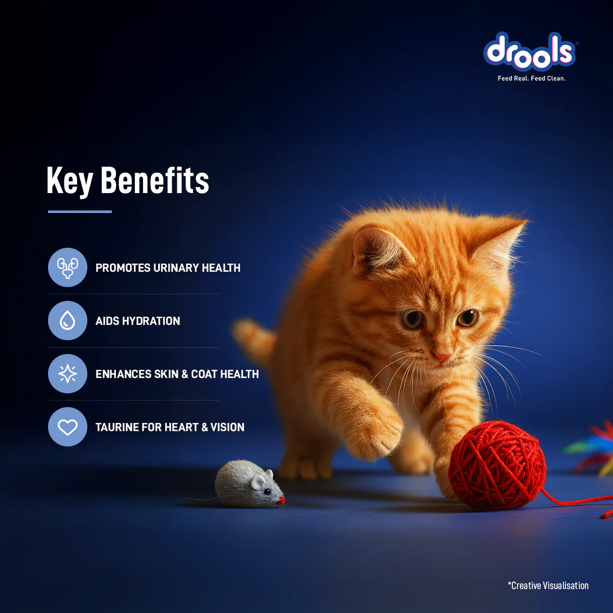 Drools Ocean Fish Mousse Kitten Cat Wet Food - Image 5