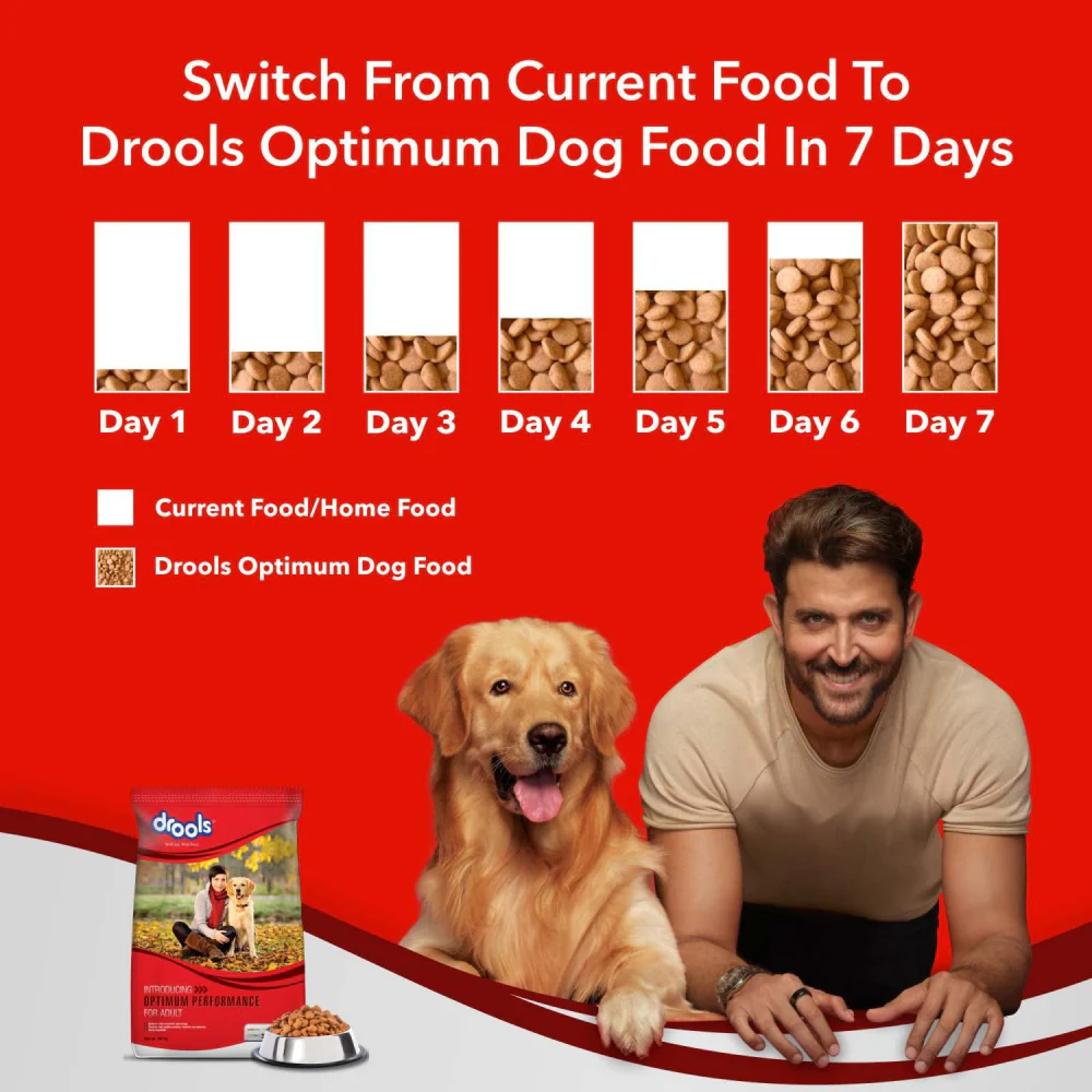 Drools Optimum Performance Adult Dog Dry Food (20kg) and Drools Invadeworm Dewormer Tablets for Dogs (pack of 10 Tablets) - Image 6