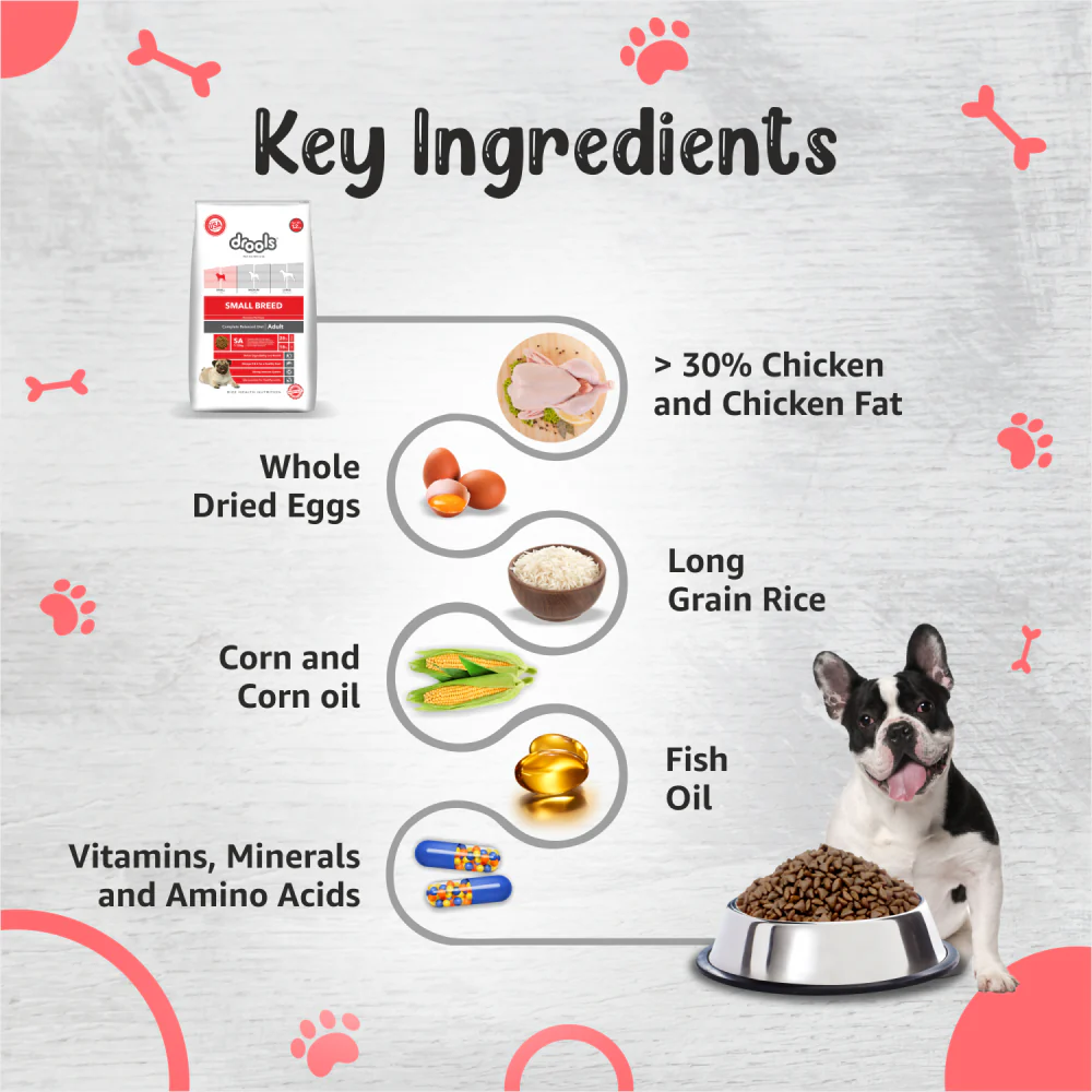 Drools Premium Small Breed Adult Dog Dry Food - Image 4