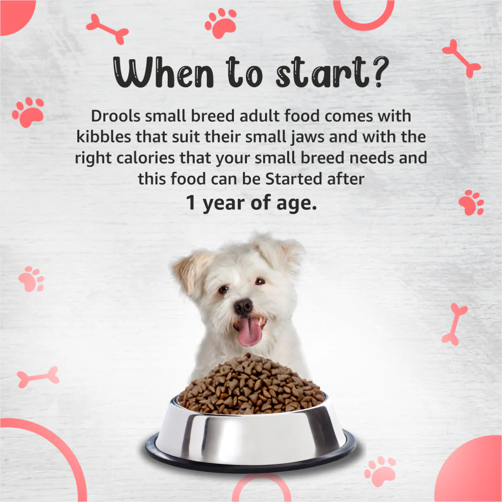 Drools Premium Small Breed Adult Dog Dry Food - Image 5