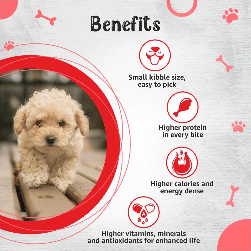 Drools Premium Small Breed Puppy Dog Dry Food - Image 3
