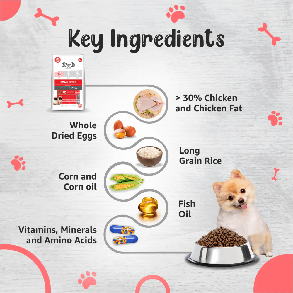 Drools Premium Small Breed Puppy Dog Dry Food - Image 4