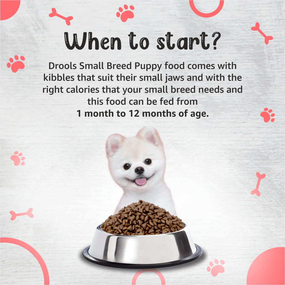 Drools Premium Small Breed Puppy Dog Dry Food - Image 5