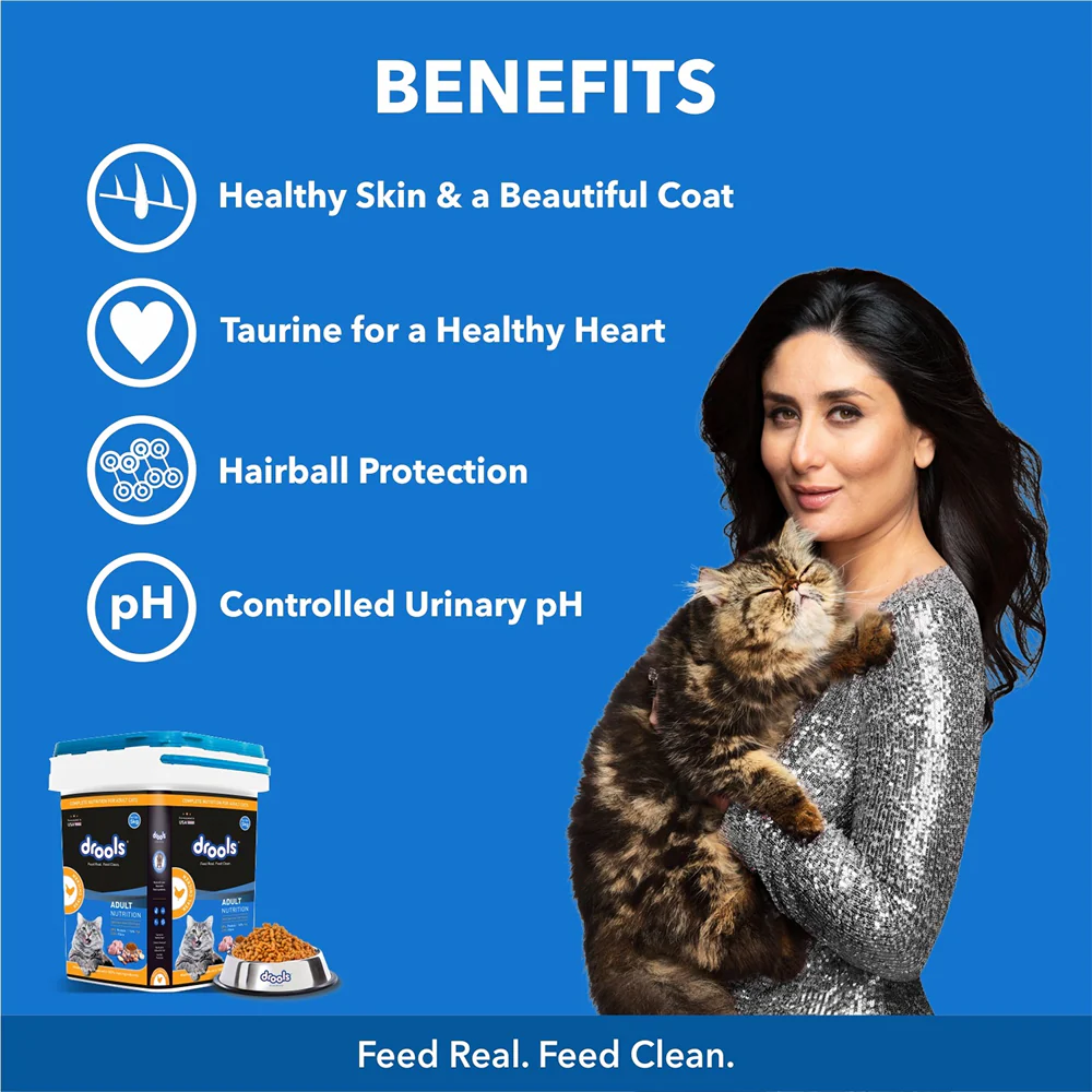 Drools Real Chicken Adult Cat Dry Food - Image 2