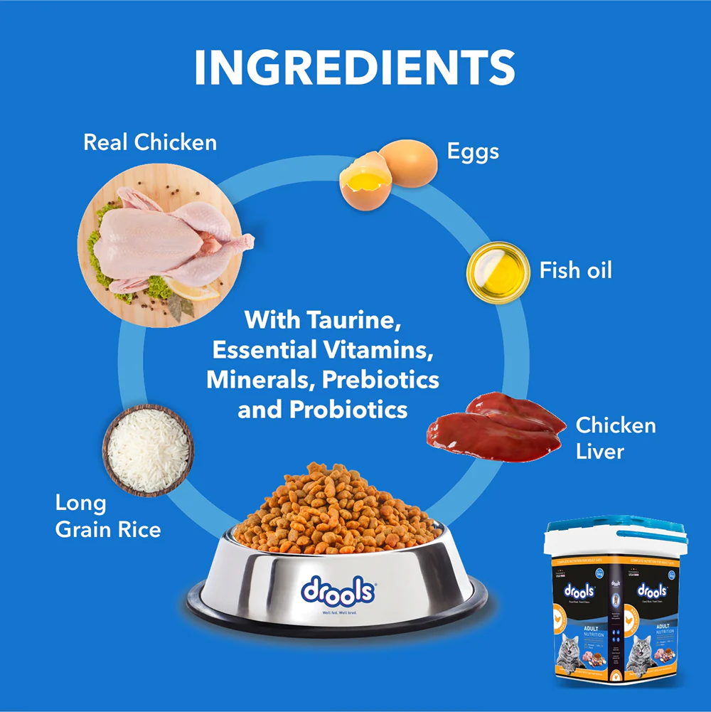 Drools Real Chicken Adult Cat Dry Food - Image 3