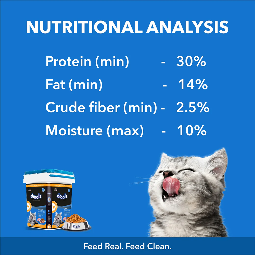 Drools Real Chicken Adult Cat Dry Food - Image 4