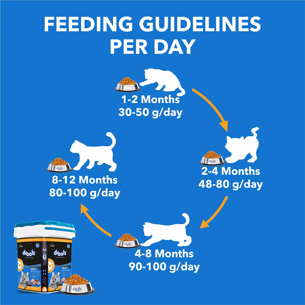 Drools Real Chicken Adult Cat Dry Food - Image 5