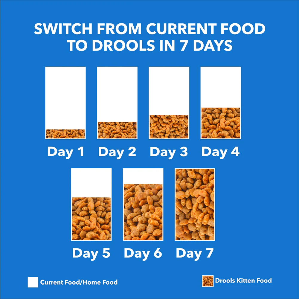 Drools Real Chicken Adult Cat Dry Food - Image 6