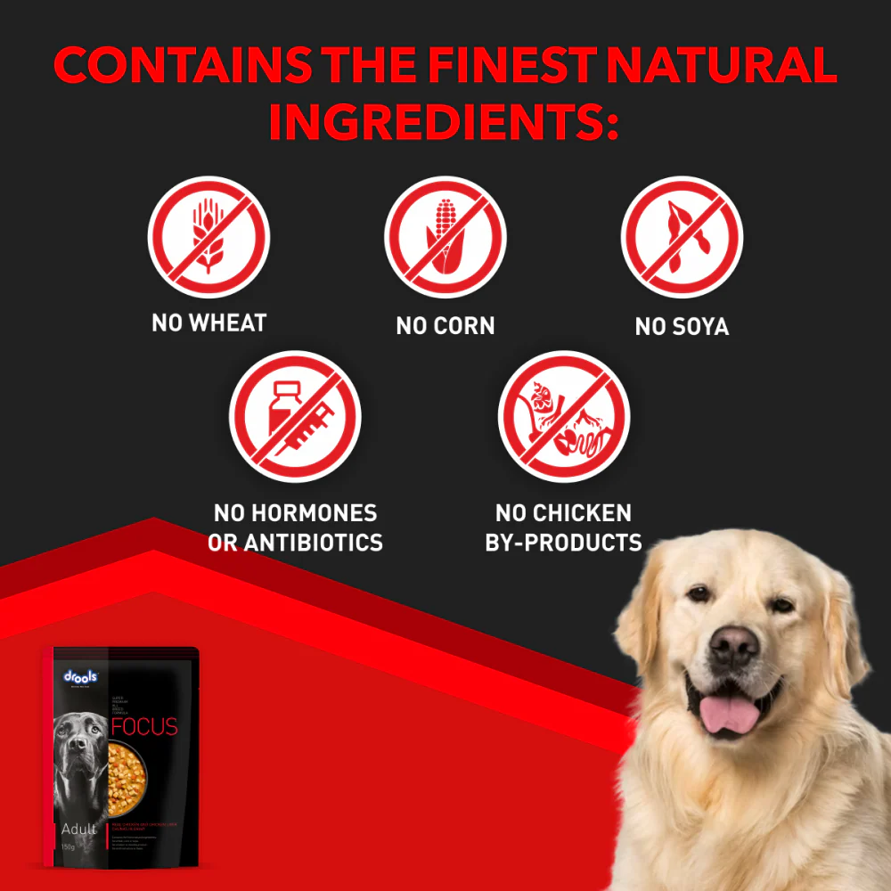 Drools Focus Real Chicken & Chicken Liver Chunks in Gravy Adult Dog Wet Food - Image 6