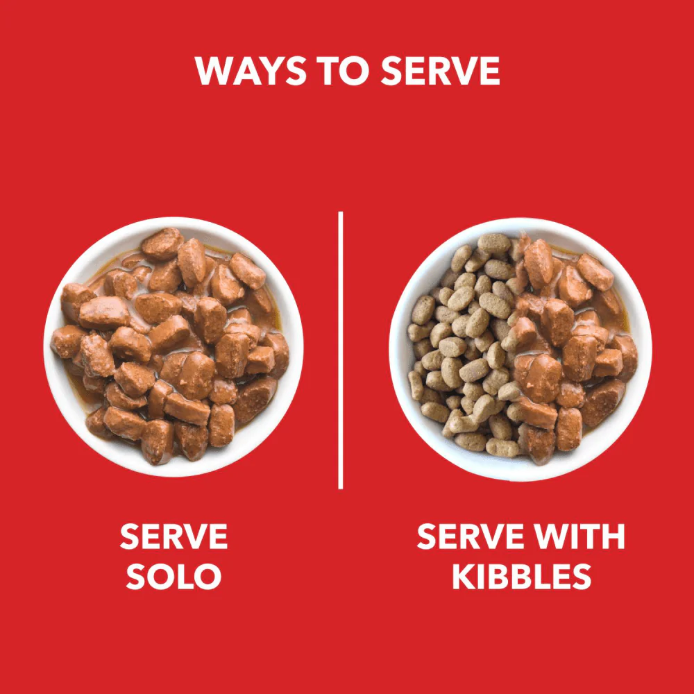 Drools Real Chicken & Chicken Liver Chunks in Gravy Adult Dog Wet Food - Image 3
