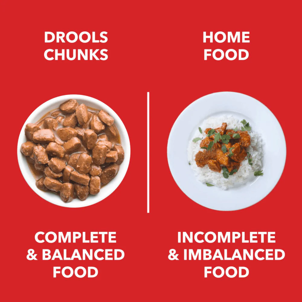 Drools Real Chicken & Chicken Liver Chunks in Gravy Adult Dog Wet Food - Image 4
