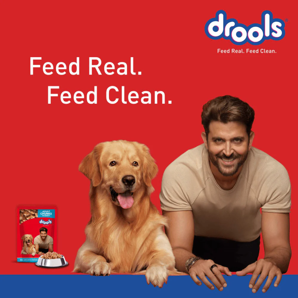 Drools Real Chicken & Chicken Liver Chunks in Gravy Adult Dog Wet Food - Image 6