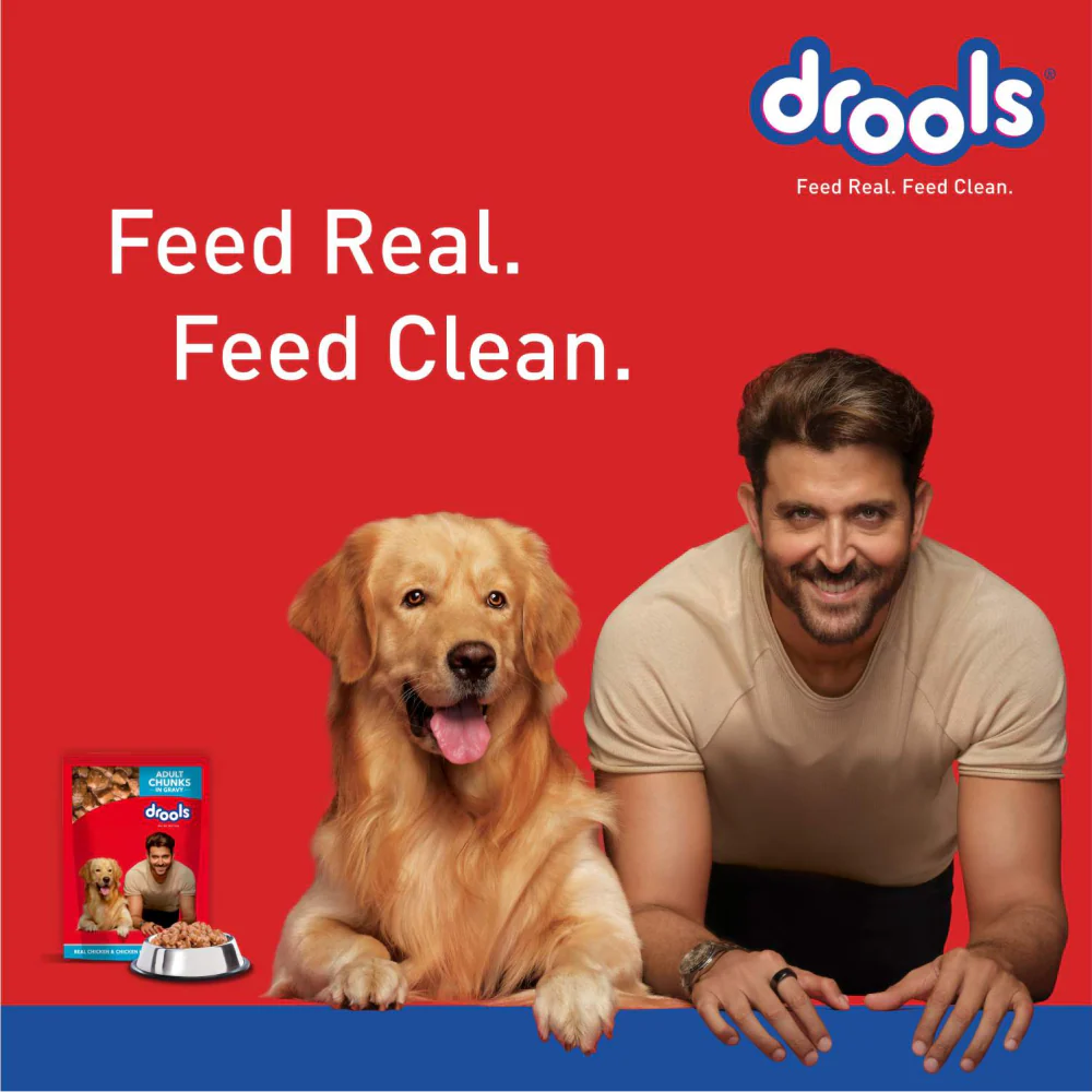 Drools Real Chicken & Chicken Liver Chunks in Gravy Adult Dog Wet Food (60g) - Image 5