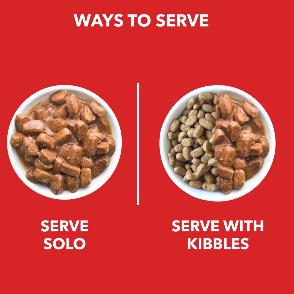 Drools Real Chicken & Chicken Liver Chunks in Gravy Puppy Dog Wet Food - Image 5