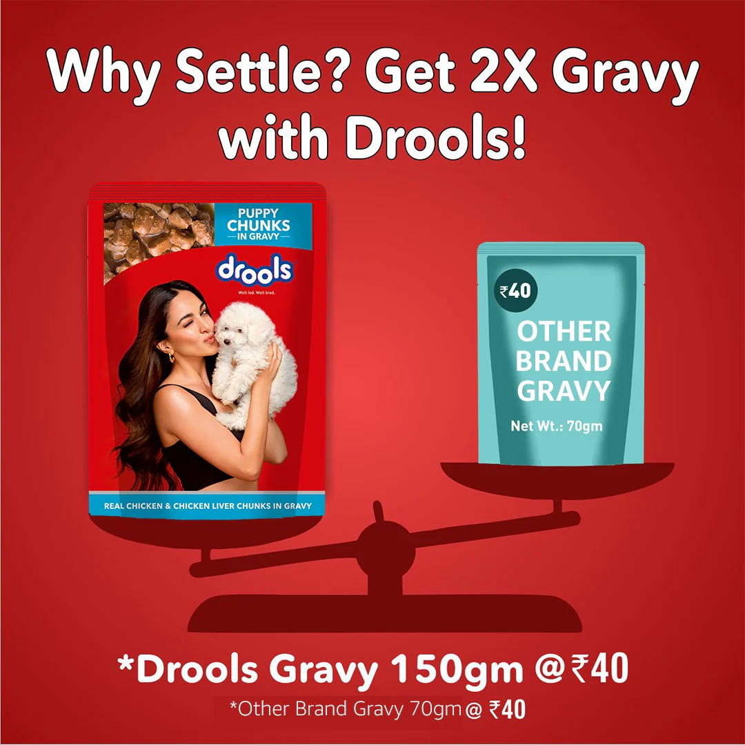 Drools Real Chicken & Chicken Liver Chunks in Gravy Puppy Dog Wet Food - Image 2