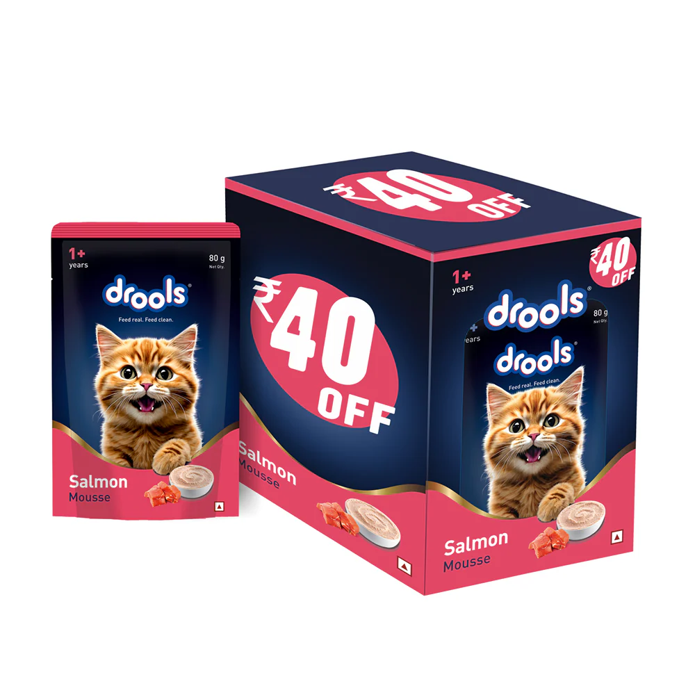 Drools Salmon Mousse Adult Cat Wet Food - Image 2