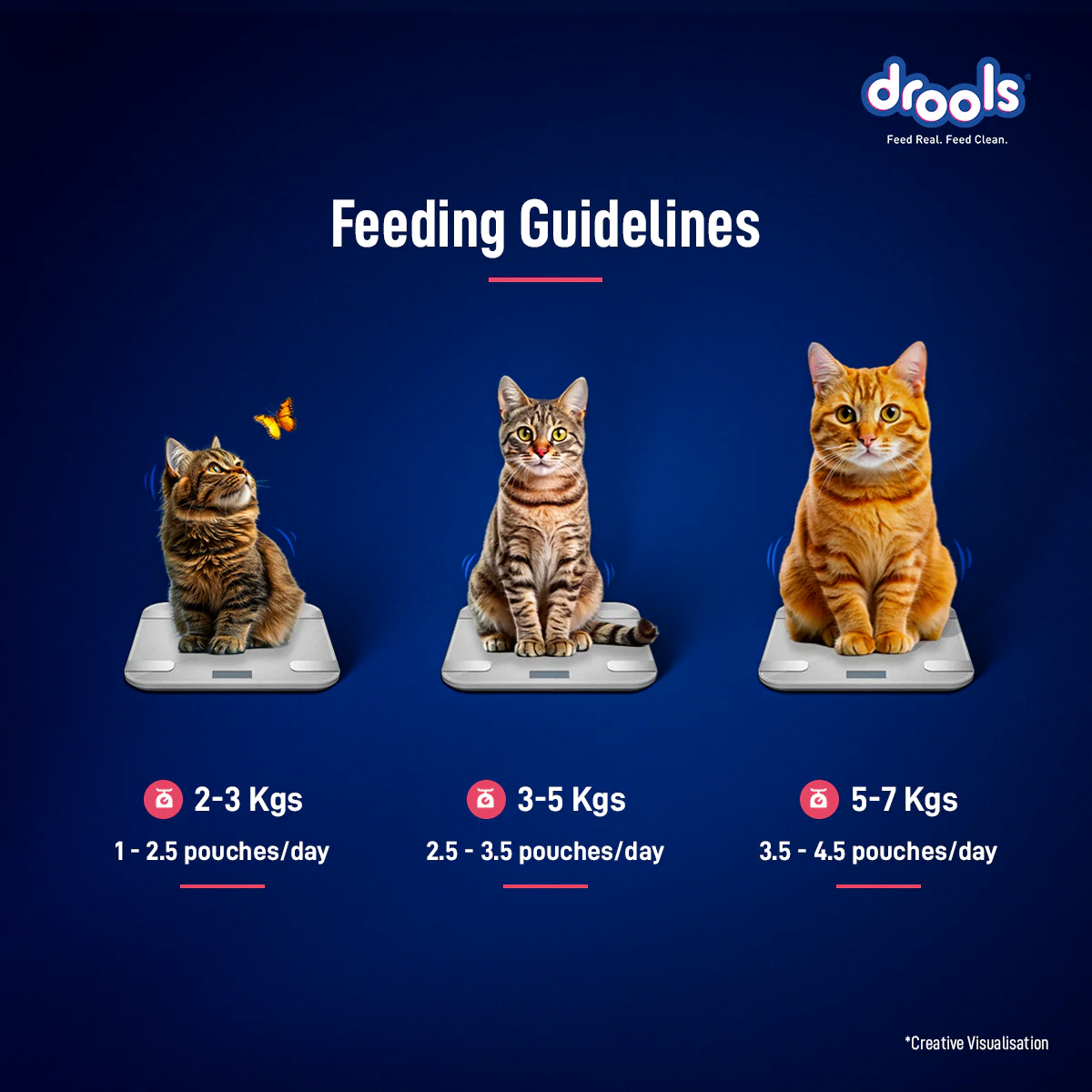 Drools Salmon Mousse Adult Cat Wet Food - Image 7