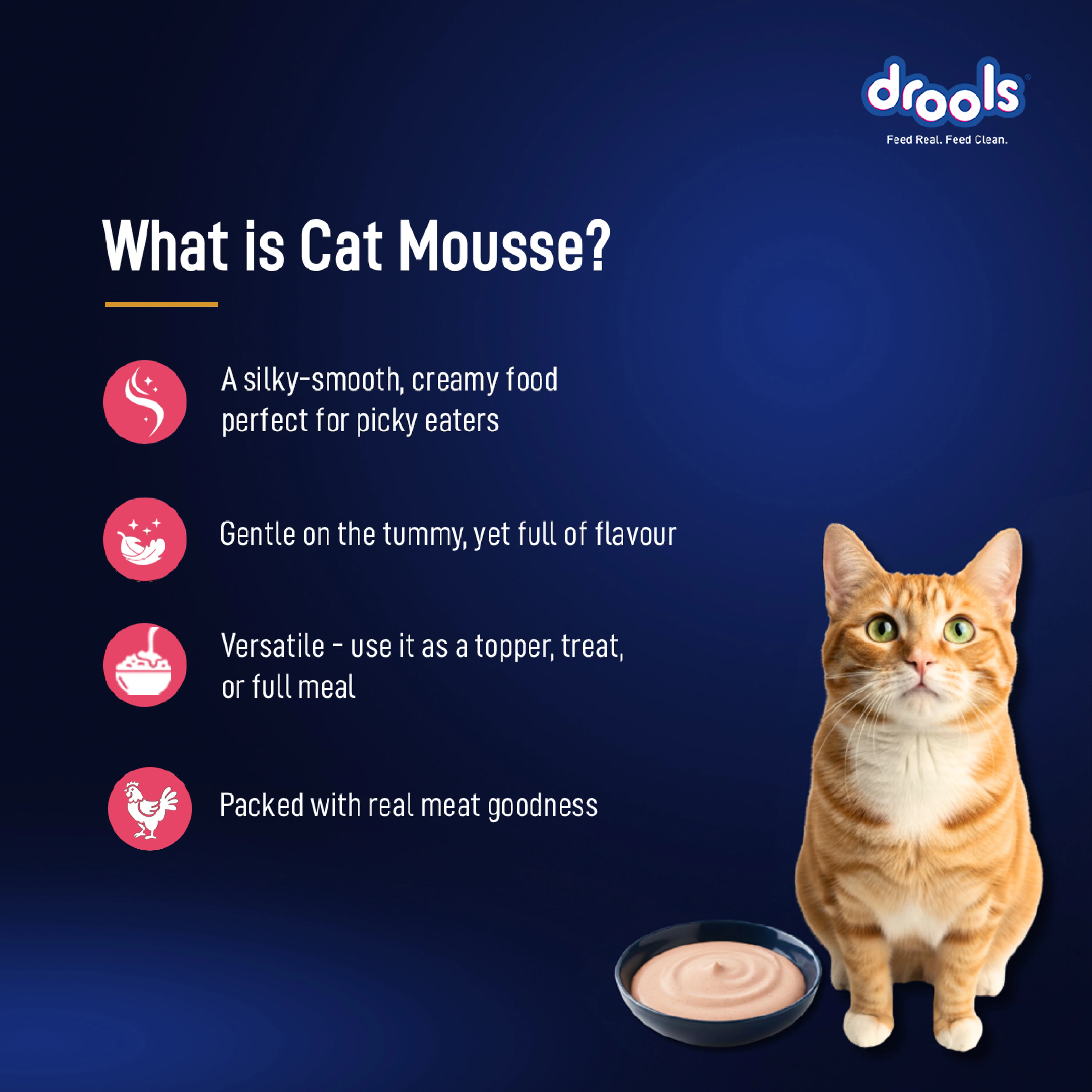 Drools Salmon Mousse Adult Cat Wet Food - Image 9