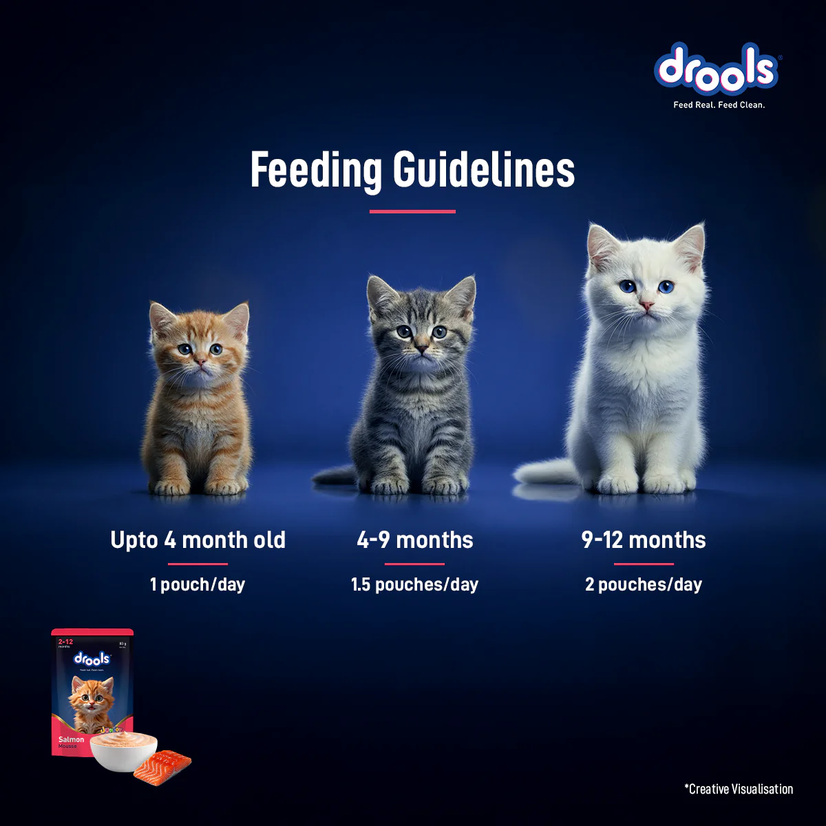 Drools Salmon Mousse Kitten Cat Wet Food - Image 5