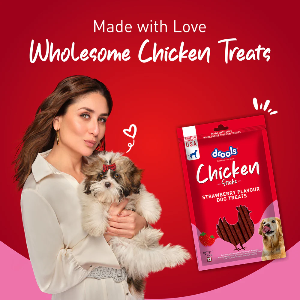 Drools Strawberry Flavour Chicken Sticks Treat for Dogs - Image 4