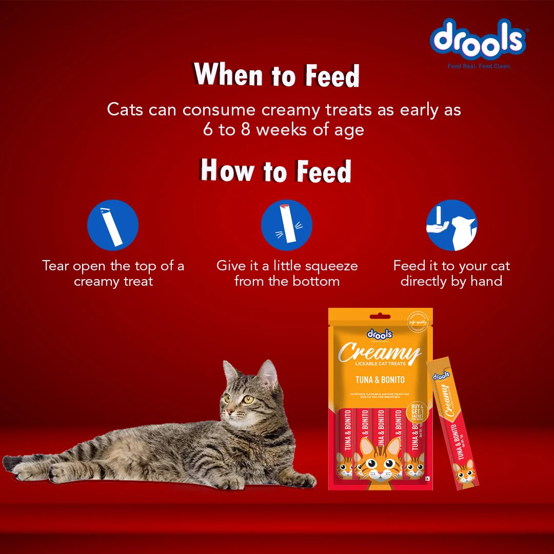 Drools Tuna & Bunito Creamy Cat Treats - Image 6