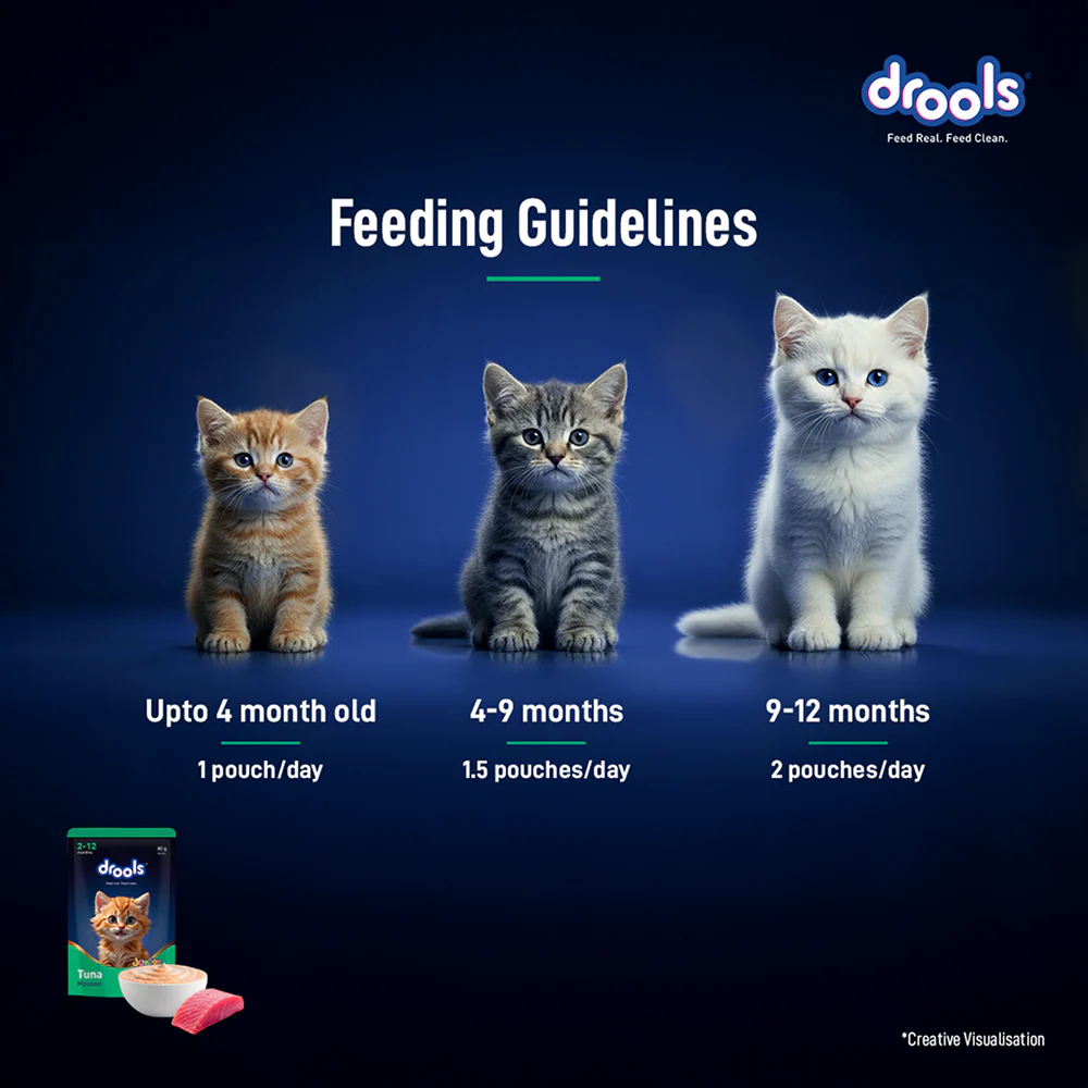 Drools Tuna Mousse Kitten Cat Wet Food - Image 17