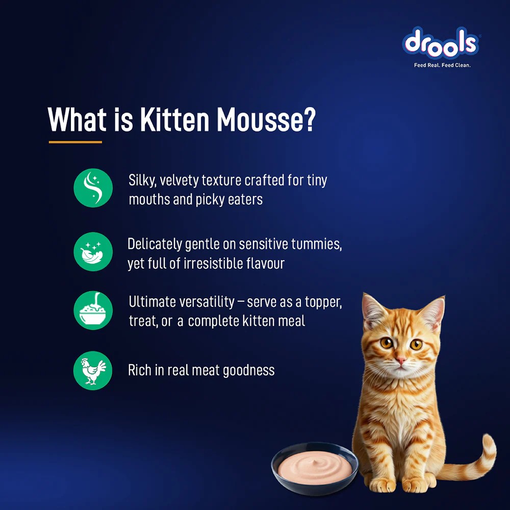 Drools Tuna Mousse Kitten Cat Wet Food - Image 2
