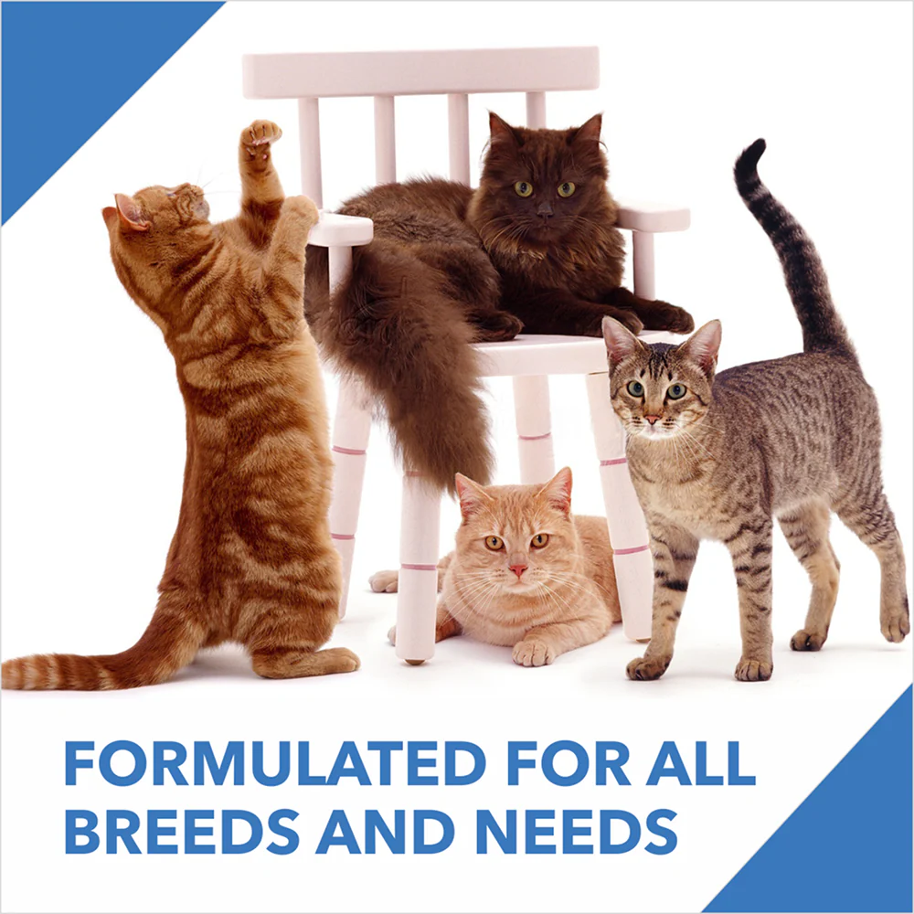 Drools Tuna & Salmon Adult Dry Cat Food - Image 15