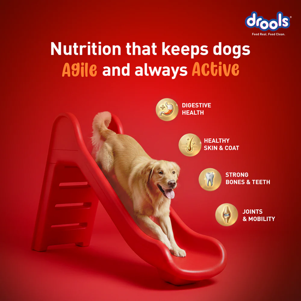 Drools Turkey and Pumpkin Adult Dog Dry Food - Image 2