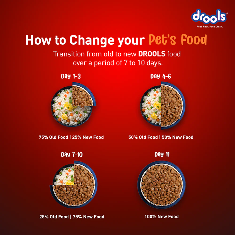 Drools Turkey and Pumpkin Adult Dog Dry Food - Image 3