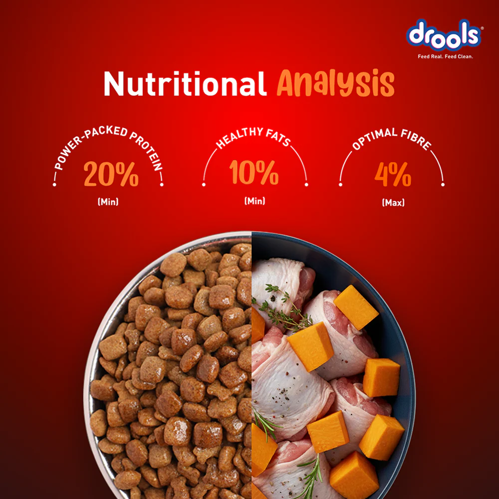 Drools Turkey and Pumpkin Adult Dog Dry Food - Image 4