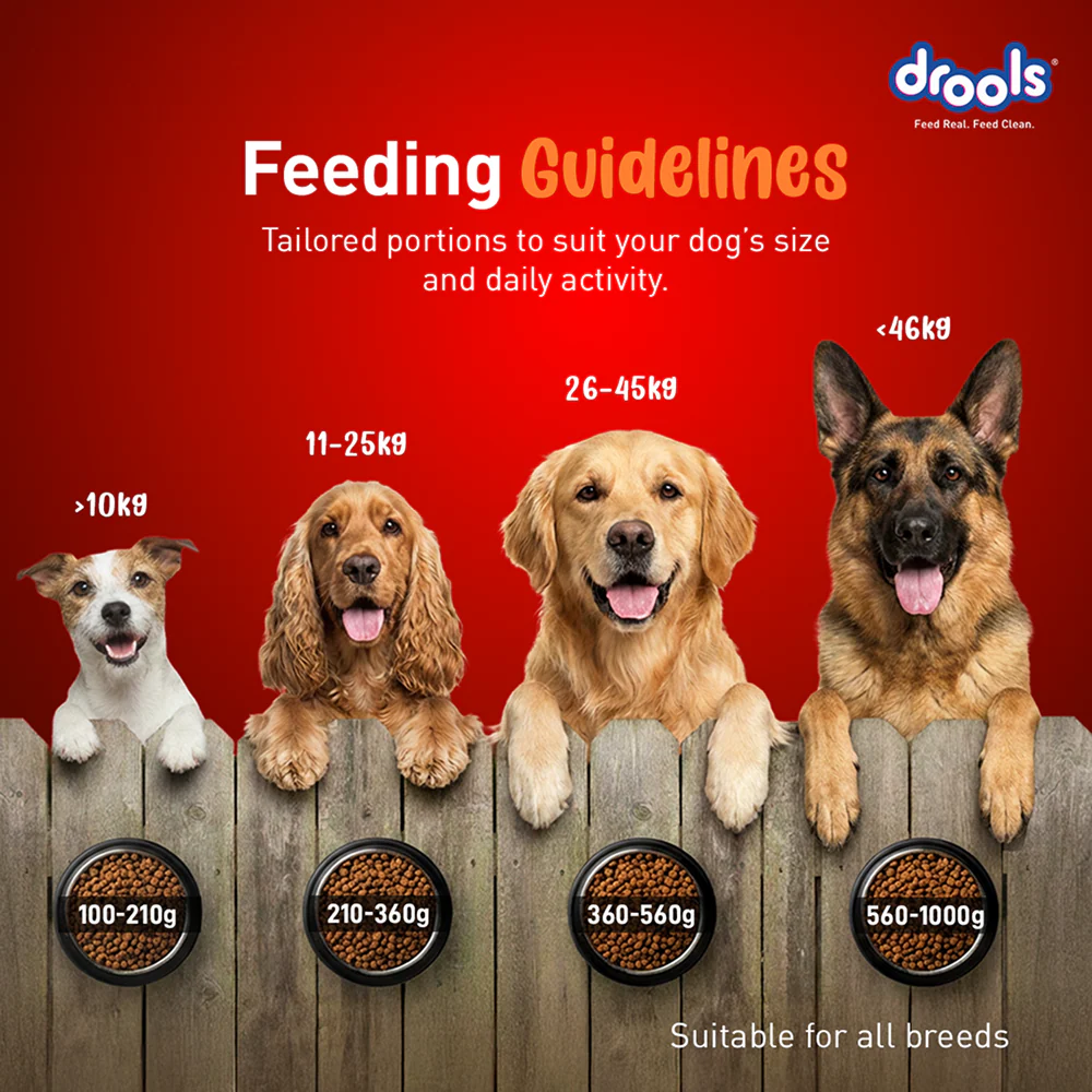 Drools Turkey and Pumpkin Adult Dog Dry Food - Image 7