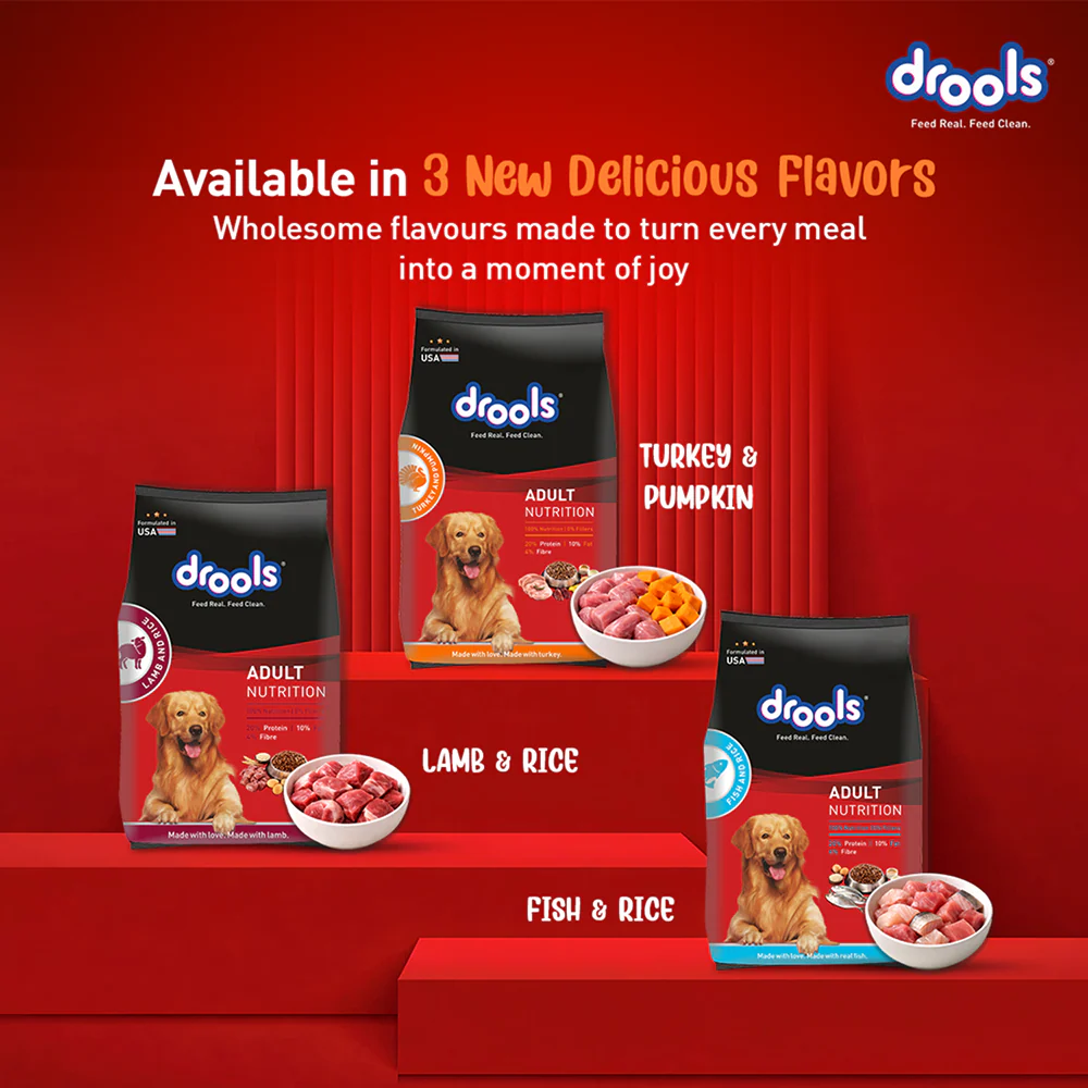 Drools Turkey and Pumpkin Adult Dog Dry Food - Image 8
