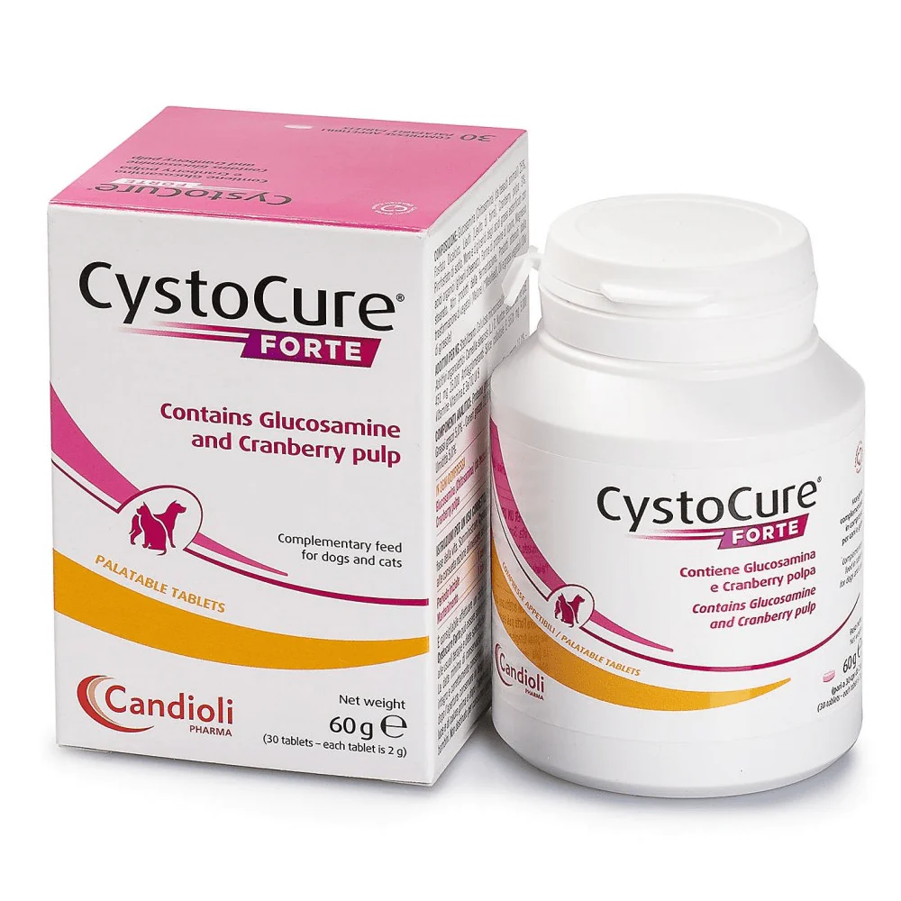 Dyntec Cystocure Forte Tablet for Dogs and Cats (pack of 30 tablets) - Image 2