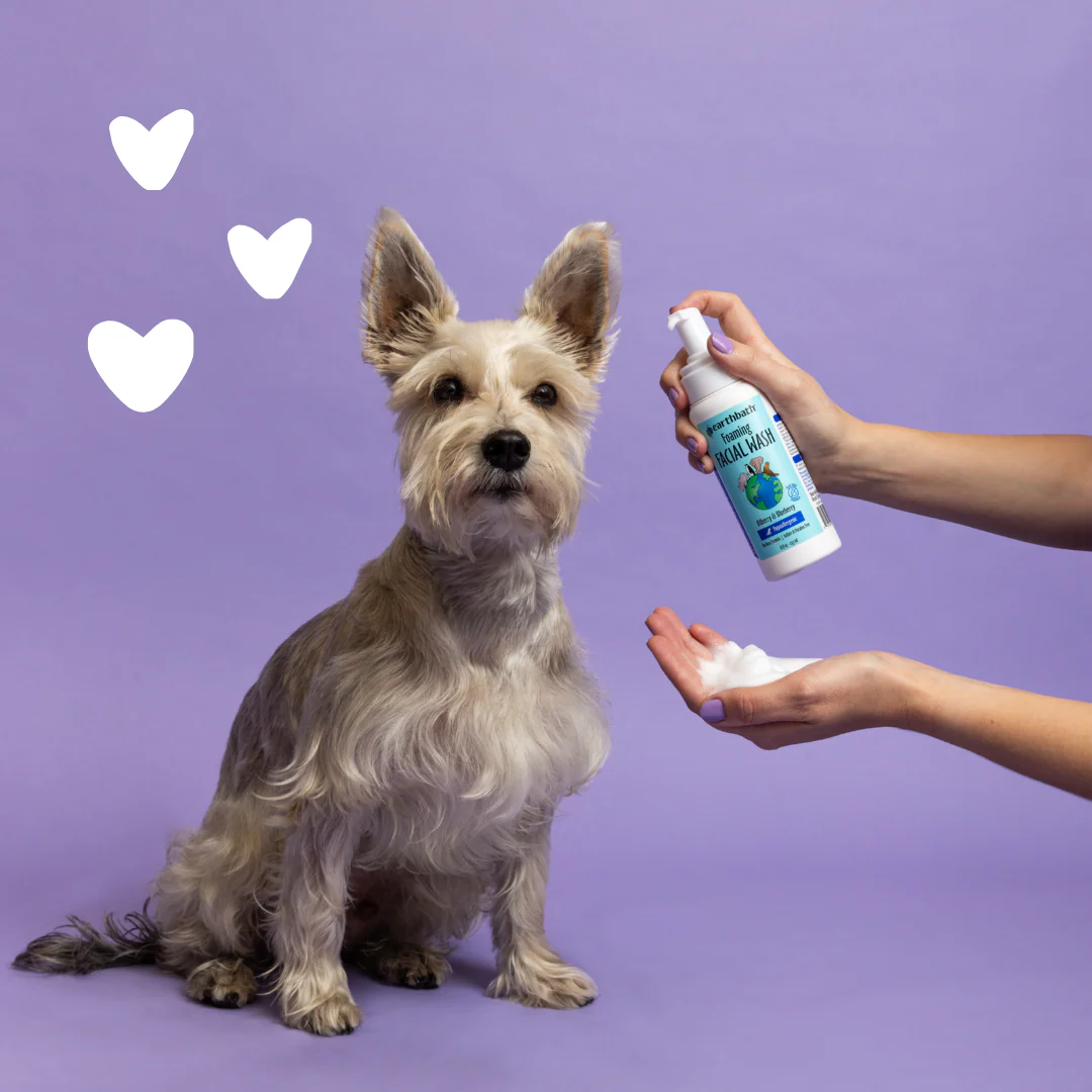 EarthBath Bilberry and Blueberry Scented Foaming Face Wash for Dogs and Cats - Image 6