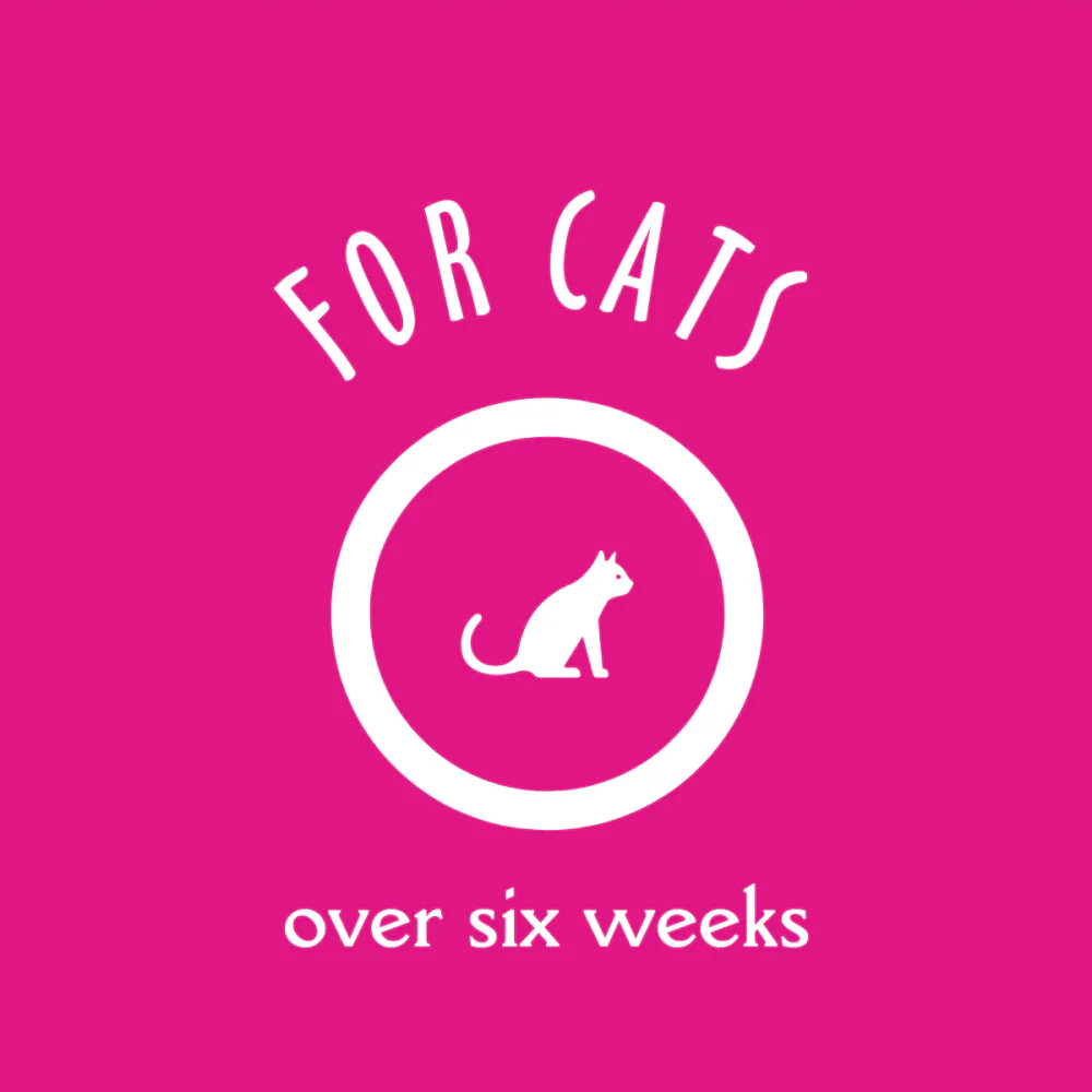 EarthBath Fragarance Free Hypo Allergenic Shampoo for Cats - Image 6