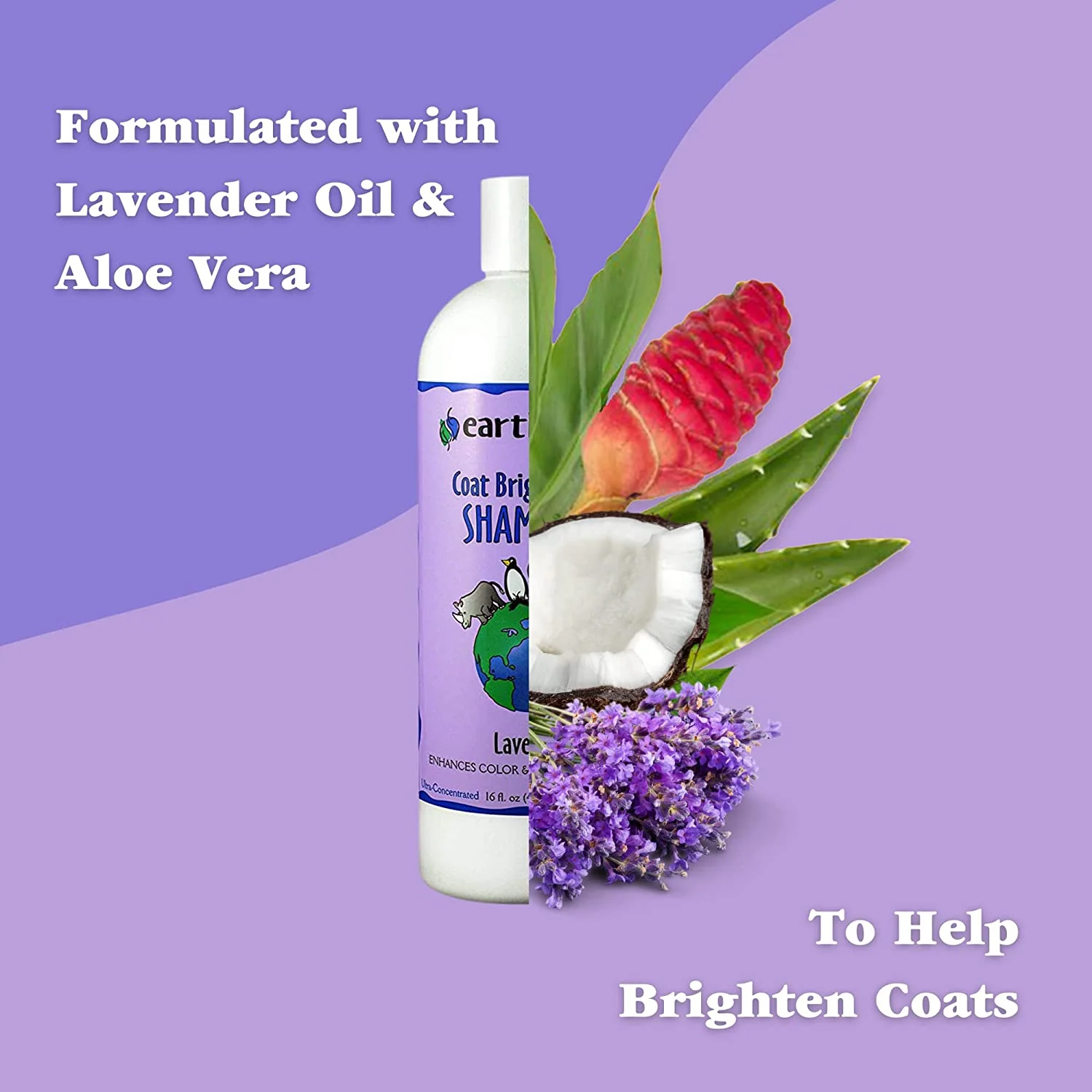 EarthBath Lavender Coat Brightening Shampoo for Dogs and Cats - Image 3