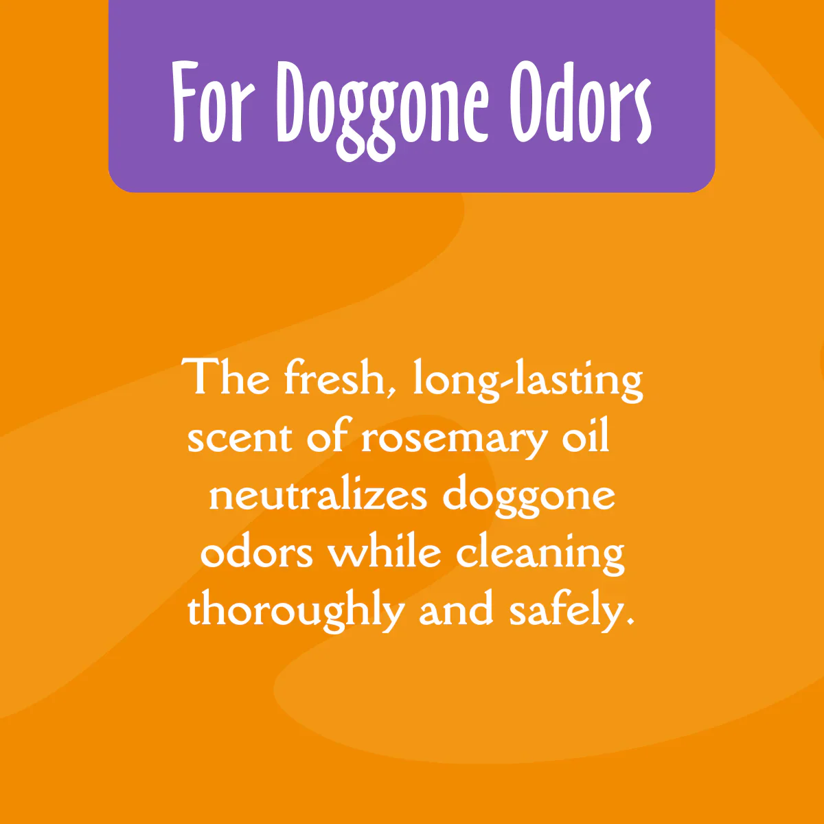 EarthBath Mediterranean Magic Deodorizing Shampoo for Dogs and Cats - Image 4