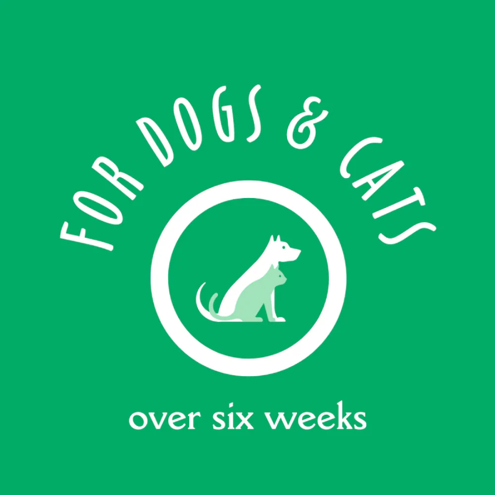 EarthBath Oatmeal & Aloe Conditioner Vanilla & Almond for Dogs and Cats - Image 8