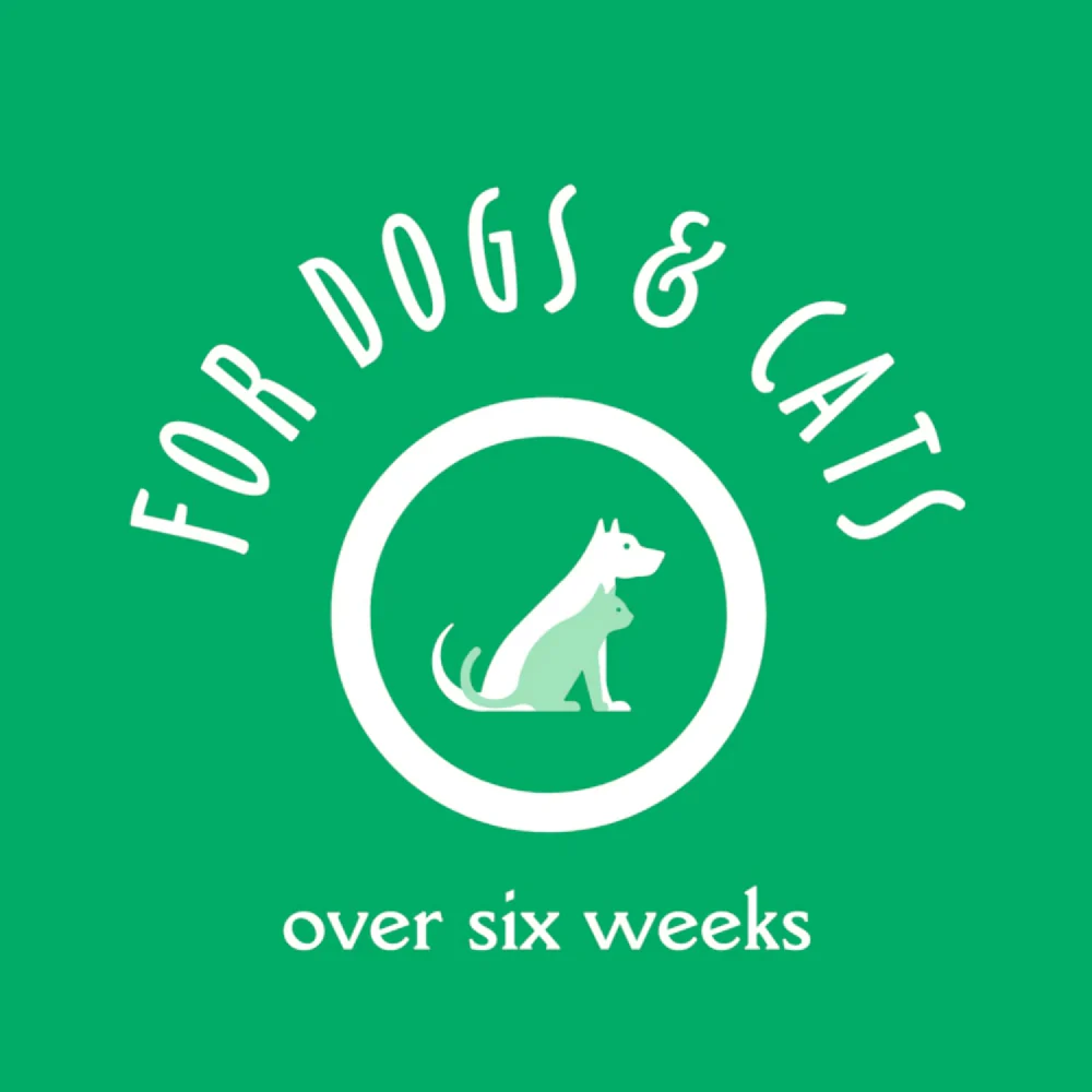 EarthBath Oatmeal & Aloe Shampoo Vanilla & Almond for Dogs and Cats - Image 7