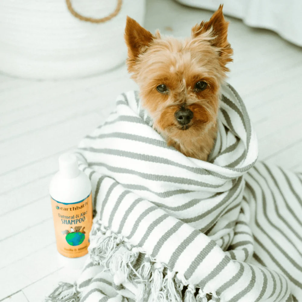 EarthBath Oatmeal & Aloe Shampoo Vanilla & Almond for Dogs and Cats - Image 8