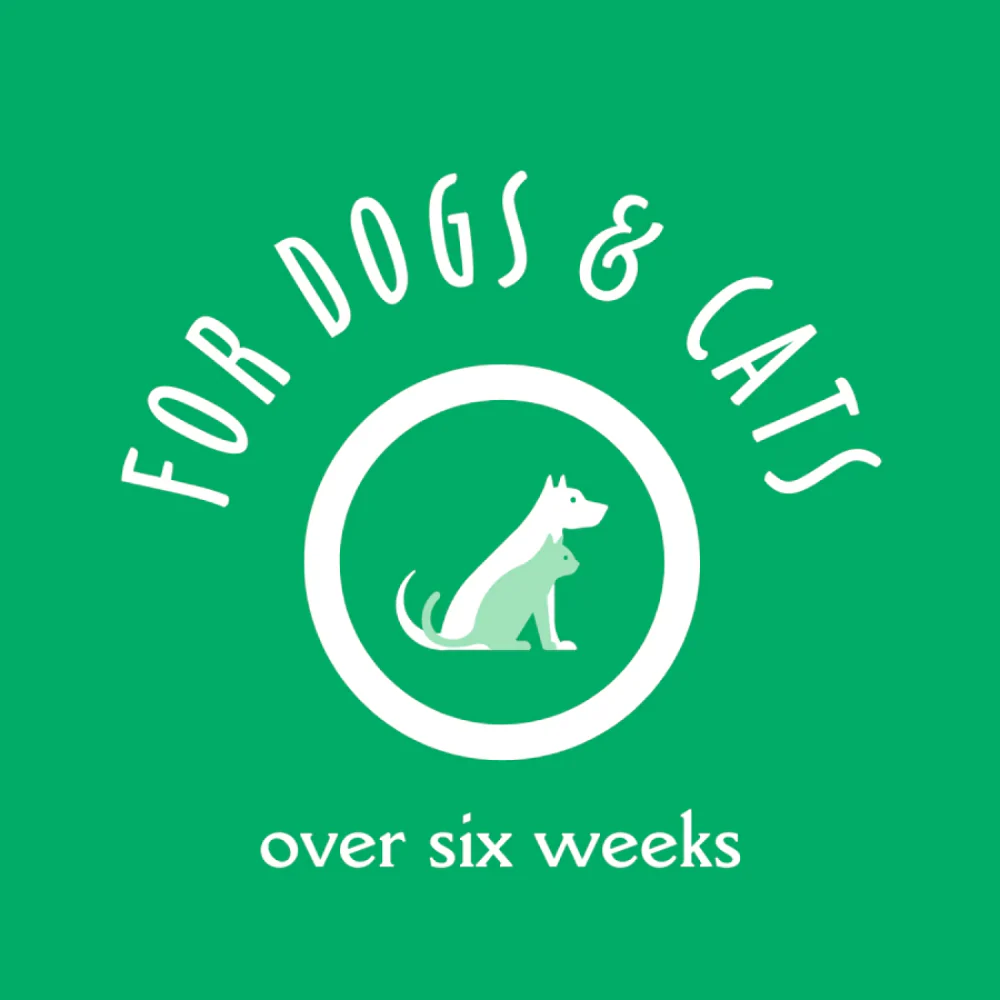 EarthBath Shed Control Green Tea & Awapuhi Shampoo for Dogs and Cats - Image 6