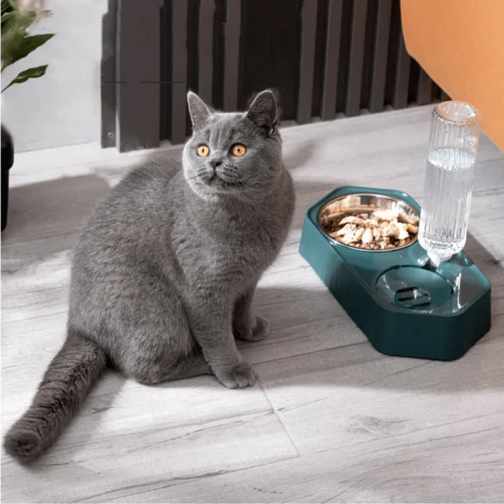 Emily Pets Automatic Water Dispenser Double Bowls for Dogs and Cats (Blue) - Image 3