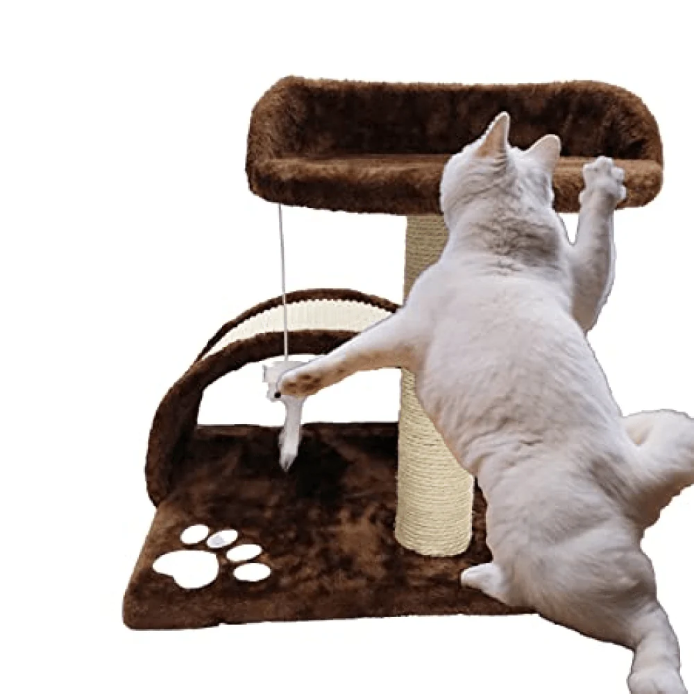 Emily Pets Cat Tree Scratching Post for Kittens & Cats (Black) - Image 4