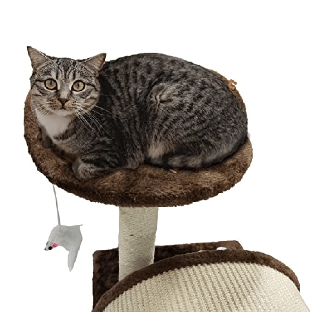 Emily Pets Cat Tree Scratching Post for Kittens & Cats (Black) - Image 5