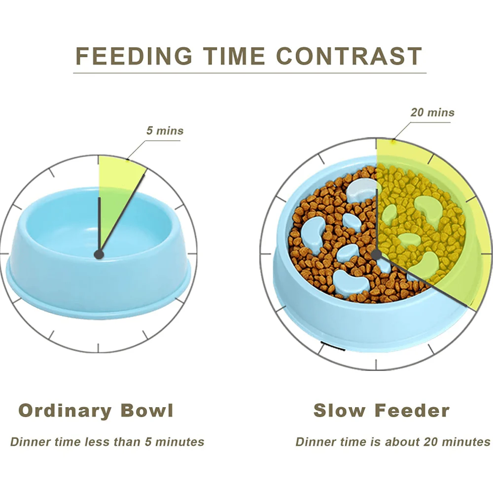 Emily Pets Interactive Food Bowl for Dogs (Blue) - Image 3