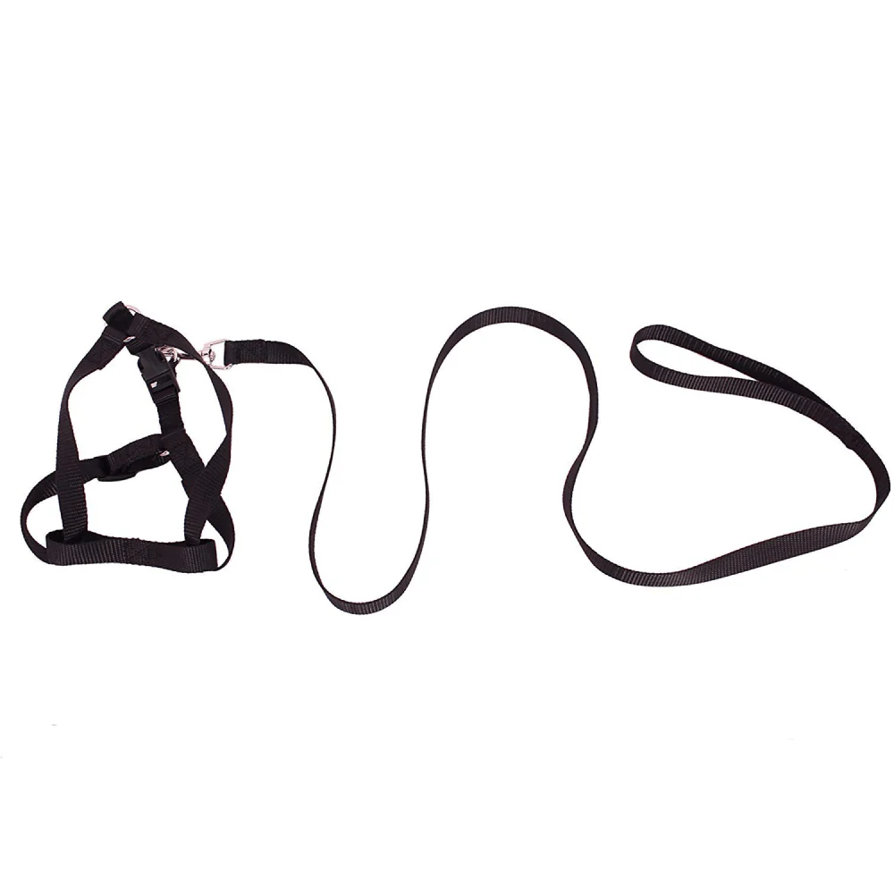 Emily Pets Leash And Harness Set for Dogs and Cats (Black) - Image 3