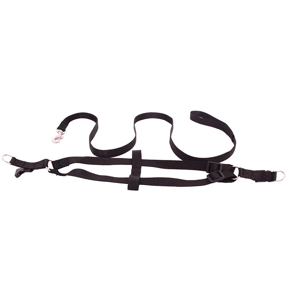 Emily Pets Leash And Harness Set for Dogs and Cats (Black) - Image 4