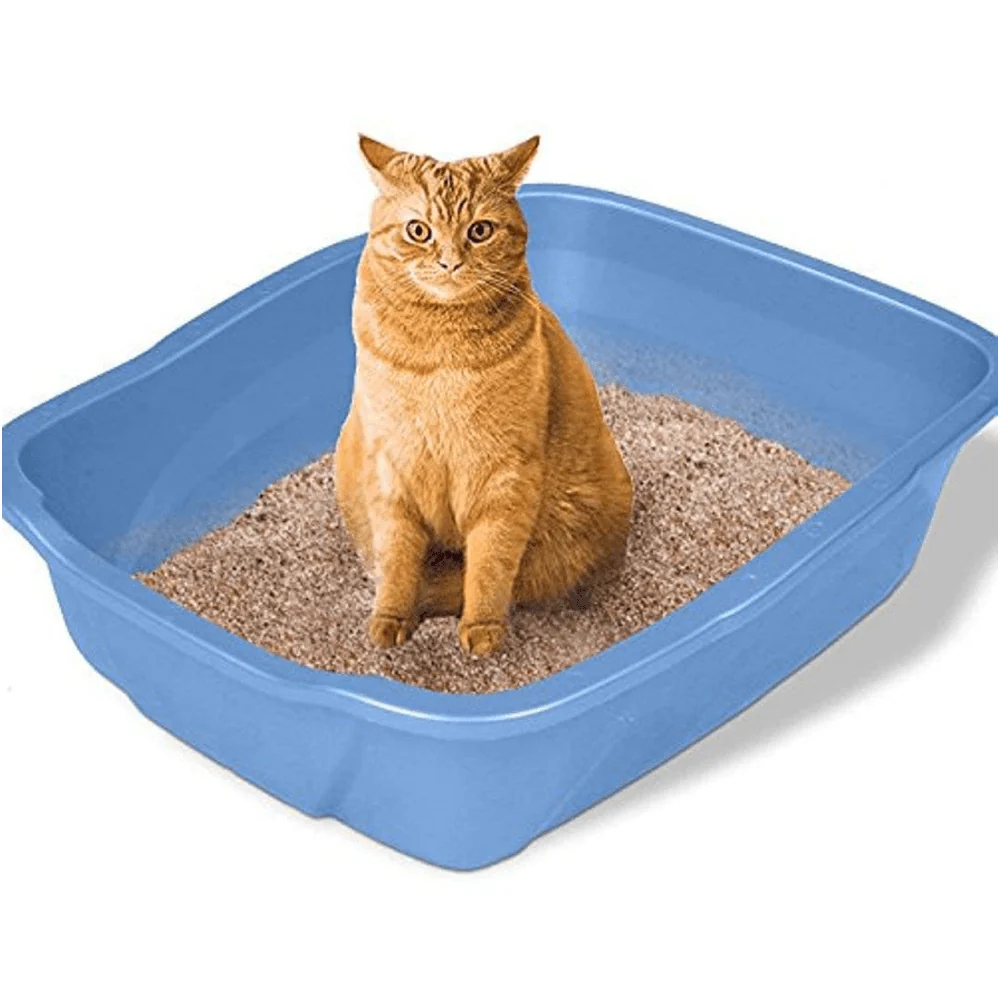 Emily Pets Lemon Scented Cat Litter - Image 4