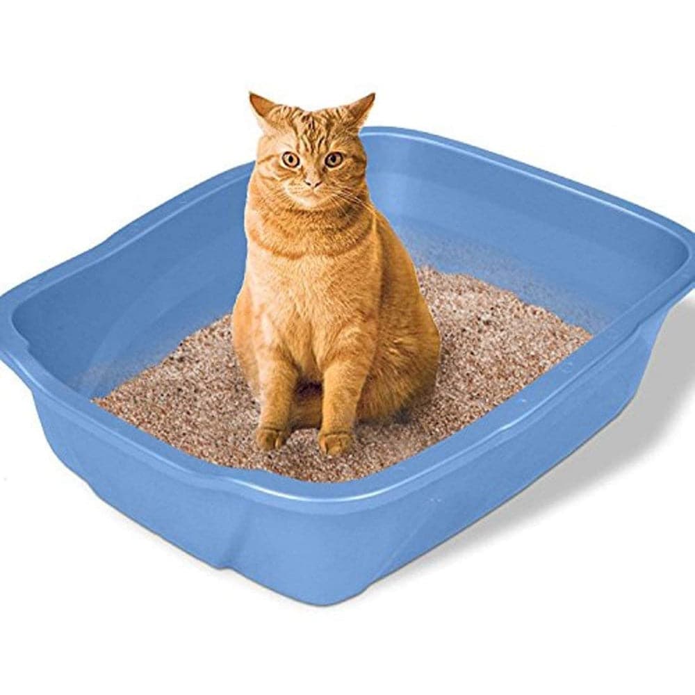 Emily Pets Rose Scented Bentonite Cat Litter - Image 3